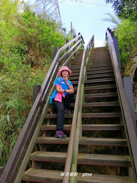 【彰化社頭】稜線上賞美景。清水岩步道群~中央嶺造林步道