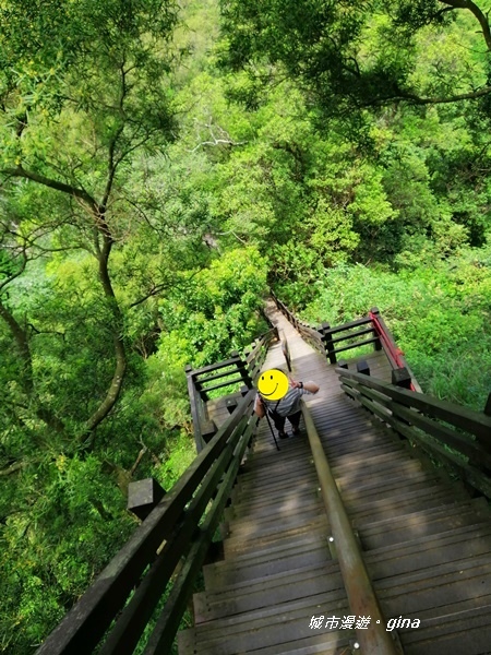 【彰化社頭】稜線上賞美景。清水岩步道群~中央嶺造林步道