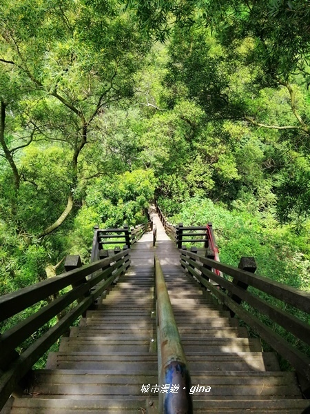 【彰化社頭】稜線上賞美景。清水岩步道群~中央嶺造林步道