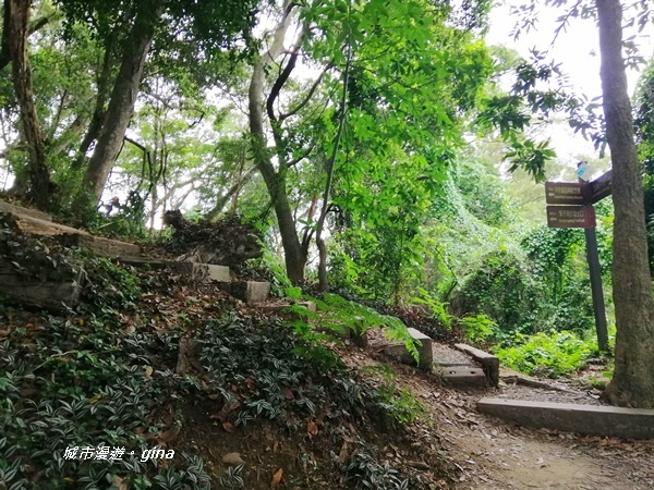 【彰化社頭】稜線上賞美景。清水岩步道群~中央嶺造林步道