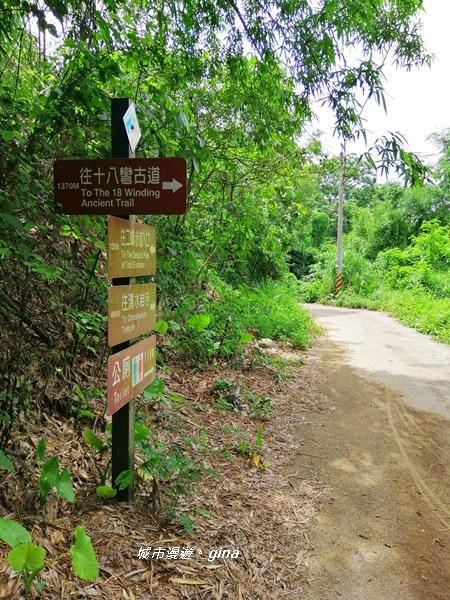 【彰化社頭】稜線上賞美景。清水岩步道群~中央嶺造林步道