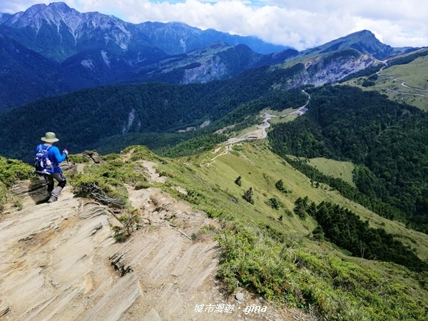 【南投仁愛】箭竹草原全視野~合歡山群最高峰。 No34百岳~