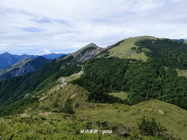 【南投仁愛】箭竹草原全視野~合歡山群最高峰。 No34百岳~