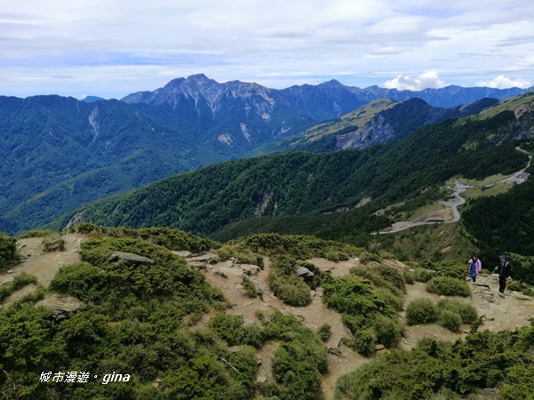 【南投仁愛】箭竹草原全視野~合歡山群最高峰。 No34百岳~