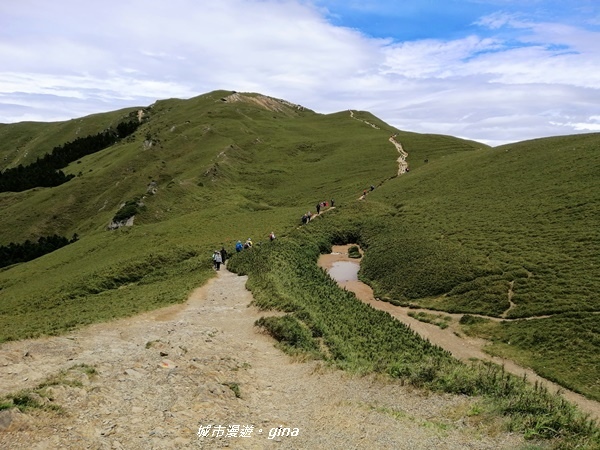 【南投仁愛】箭竹草原全視野~合歡山群最高峰。 No34百岳~