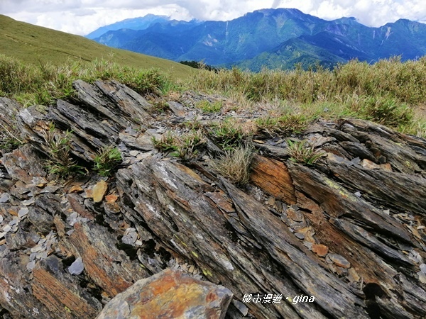 【南投仁愛】箭竹草原全視野~合歡山群最高峰。 No34百岳~