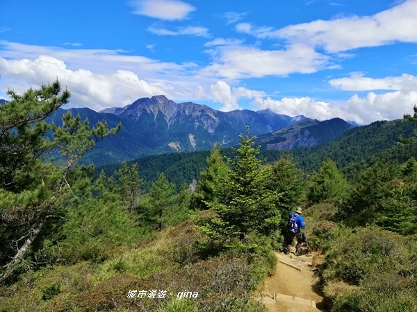 【南投仁愛】箭竹草原全視野~合歡山群最高峰。 No34百岳~