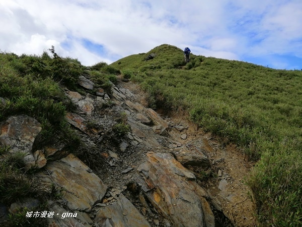 【南投仁愛】站在雲端上。No37百岳~合歡主峰步道3417M