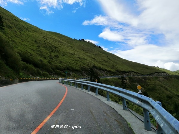 【南投仁愛】站在雲端上。No37百岳~合歡主峰步道3417M