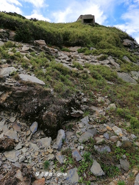 【南投仁愛】站在雲端上。No37百岳~合歡主峰步道3417M