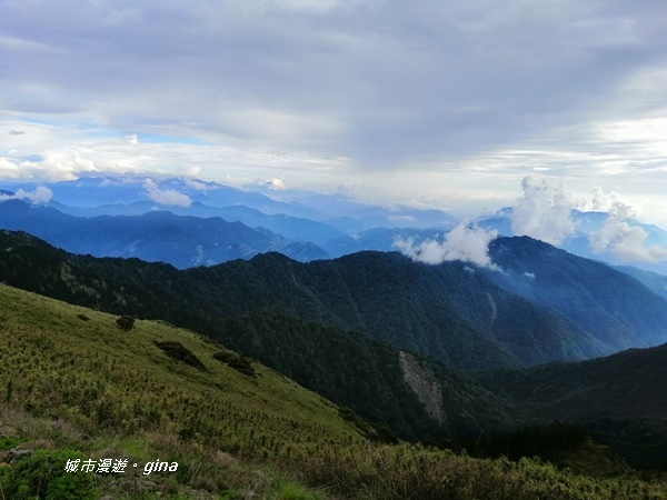 【南投仁愛】站在雲端上。No37百岳~合歡主峰步道3417M