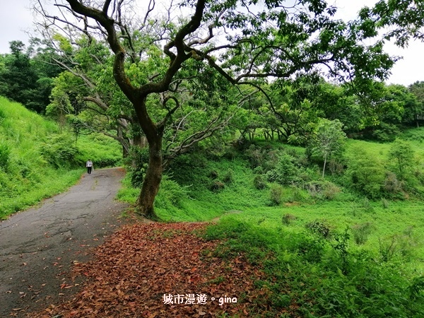 IMG_20200613_125806.jpg IMG_20200613_125806.jpg