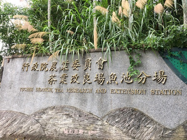 IMG_20200613_125807.jpg IMG_20200613_125807.jpg