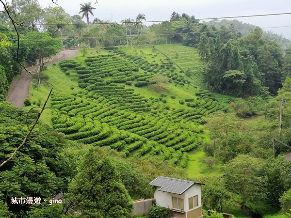 IMG_20200613_125804.jpg IMG_20200613_125804.jpg