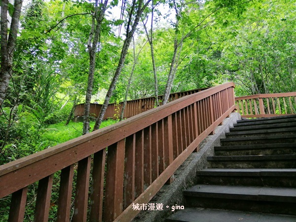 IMG_20200613_130018.jpg IMG_20200613_130018.jpg