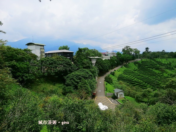 IMG_20200613_130351.jpg IMG_20200613_130351.jpg