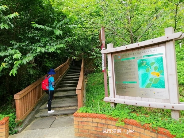 IMG_20200613_125830.jpg IMG_20200613_125830.jpg