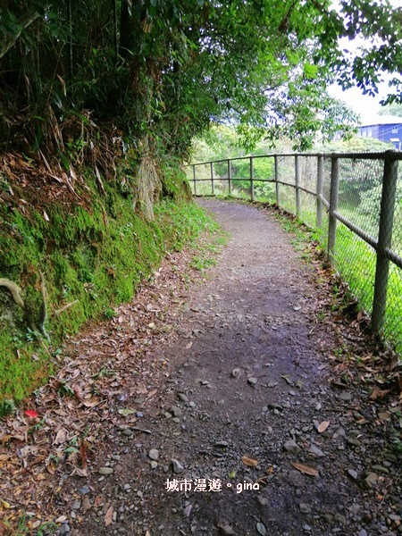 IMG_20200613_130317.jpg IMG_20200613_130317.jpg