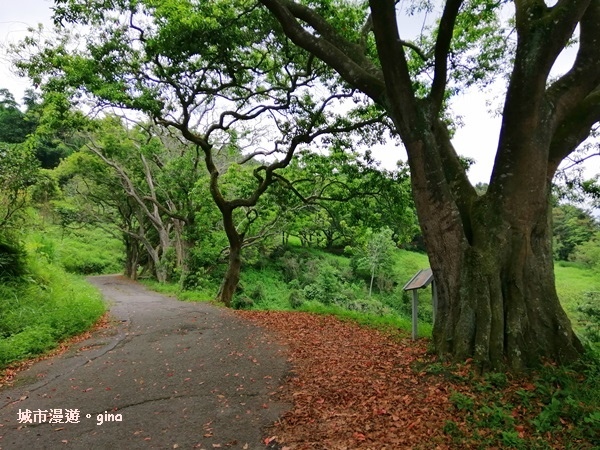 IMG_20200613_130545.jpg IMG_20200613_130545.jpg