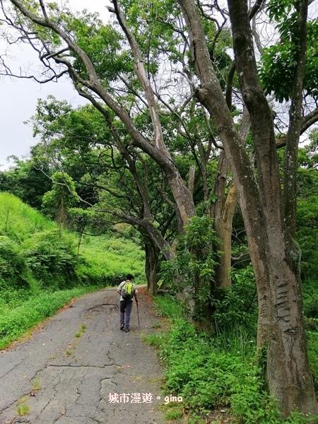 IMG_20200613_130633.jpg IMG_20200613_130633.jpg