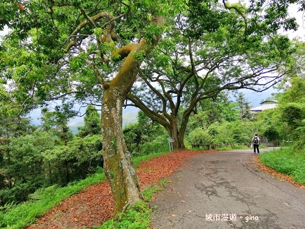 IMG_20200613_130638.jpg IMG_20200613_130638.jpg