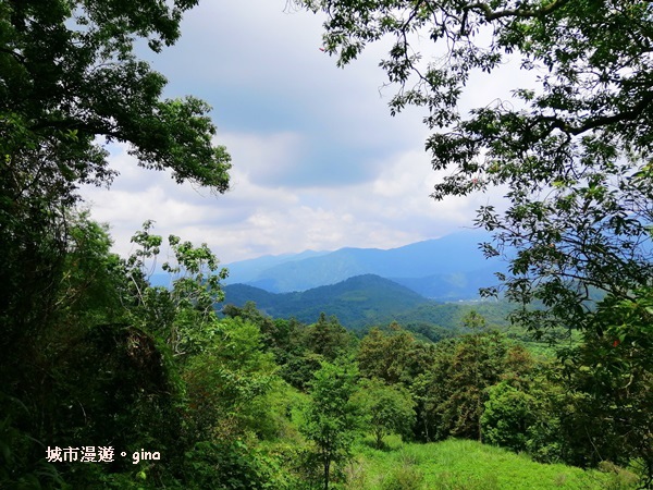 IMG_20200613_130954.jpg IMG_20200613_130954.jpg