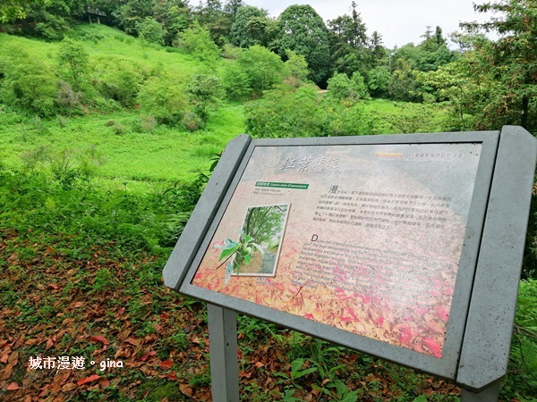 IMG_20200613_130559.jpg IMG_20200613_130559.jpg