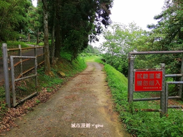 IMG_20200613_131704.jpg IMG_20200613_131704.jpg