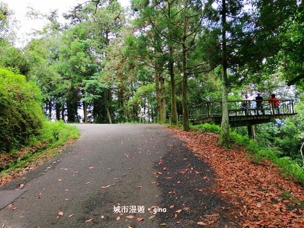 IMG_20200613_131232.jpg IMG_20200613_131232.jpg