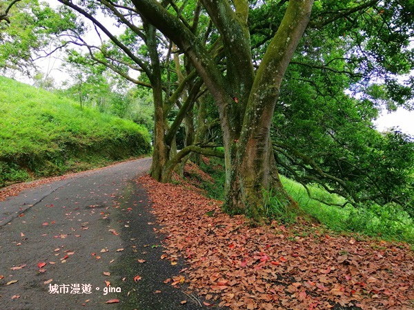 IMG_20200613_131132.jpg IMG_20200613_131132.jpg