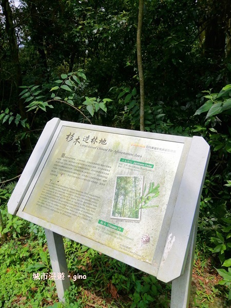 IMG_20200613_131413.jpg IMG_20200613_131413.jpg