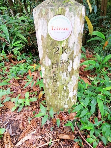 IMG_20200613_134813.jpg IMG_20200613_134813.jpg