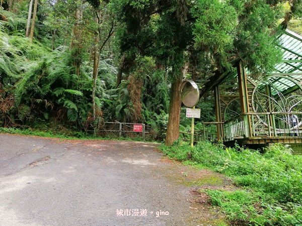 IMG_20200613_131806.jpg IMG_20200613_131806.jpg