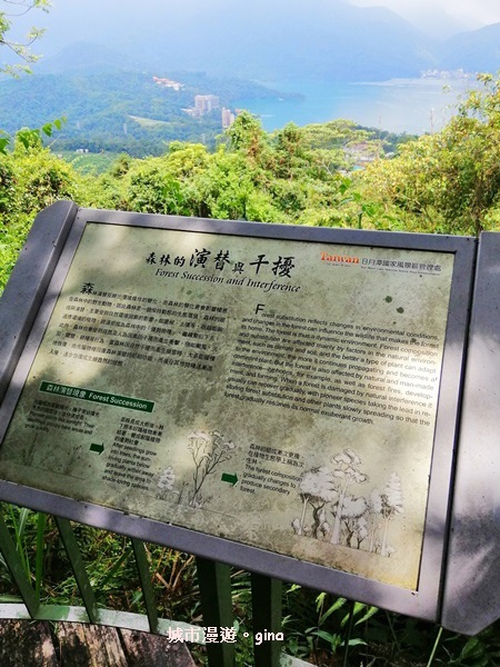 IMG_20200613_133301.jpg IMG_20200613_133301.jpg