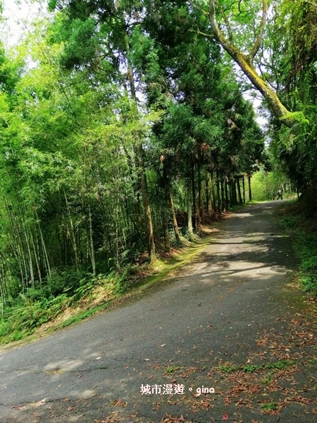 IMG_20200613_132502.jpg IMG_20200613_132502.jpg