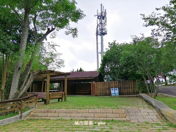 IMG_20200613_135812.jpg IMG_20200613_135812.jpg