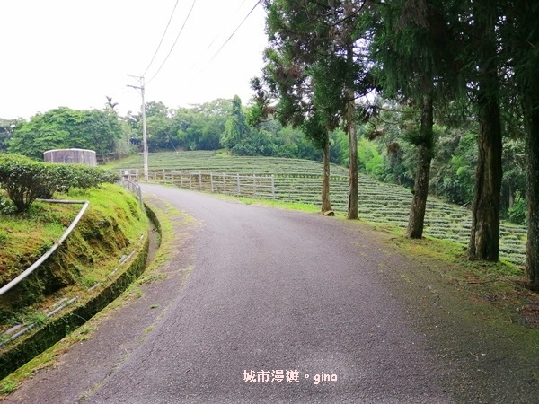 IMG_20200613_134827.jpg IMG_20200613_134827.jpg