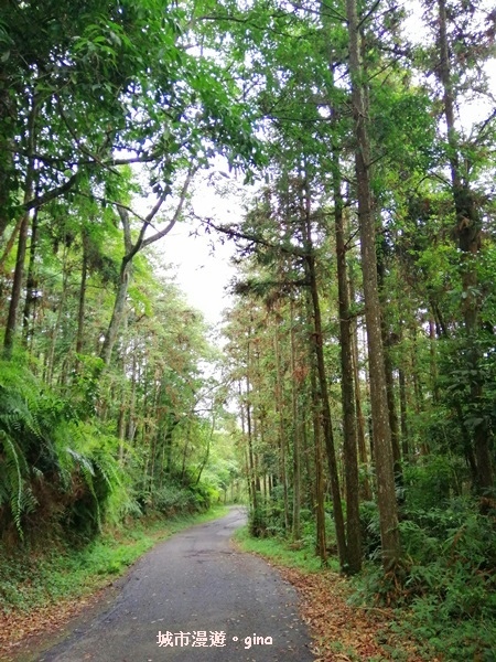 IMG_20200613_144332.jpg IMG_20200613_144332.jpg