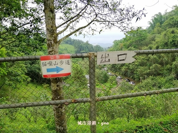 IMG_20200613_145648.jpg IMG_20200613_145648.jpg