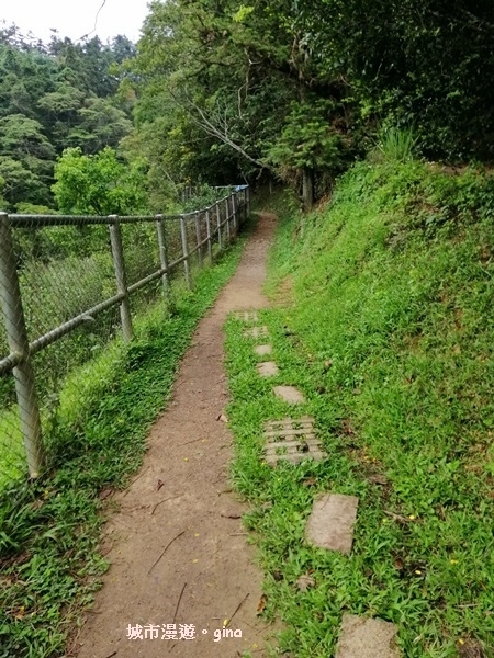 IMG_20200613_145654.jpg IMG_20200613_145654.jpg