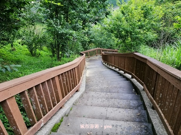 IMG_20200613_145826.jpg IMG_20200613_145826.jpg