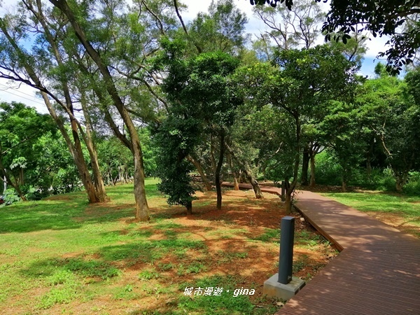 【桃園中壢】工作外的偷閒時光。 南方莊園x過嶺森林公園