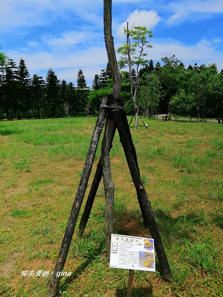 【桃園中壢】工作外的偷閒時光。 南方莊園x過嶺森林公園