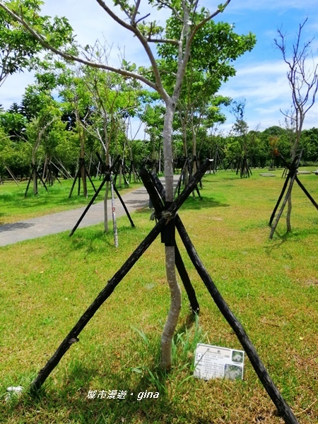 【桃園中壢】工作外的偷閒時光。 南方莊園x過嶺森林公園