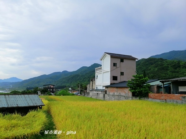 IMG_20200626_173222.jpg