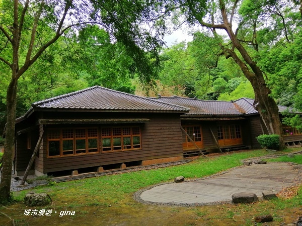 IMG_20200626_123303.jpg IMG_20200626_123303.jpg