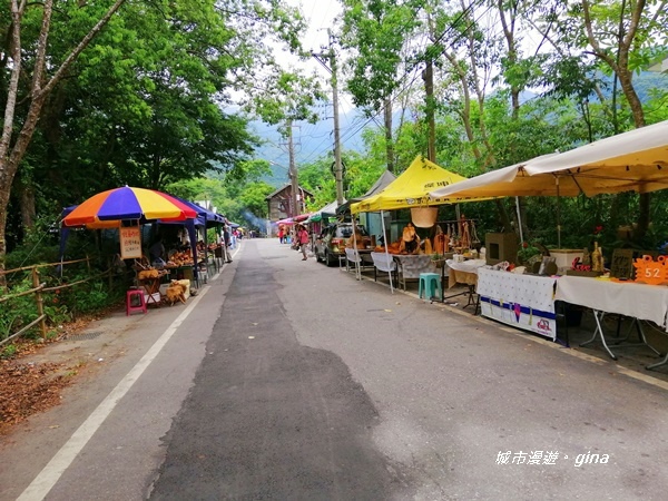 IMG_20200626_123510.jpg IMG_20200626_123510.jpg