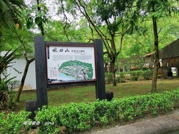 IMG_20200626_123709.jpg IMG_20200626_123709.jpg