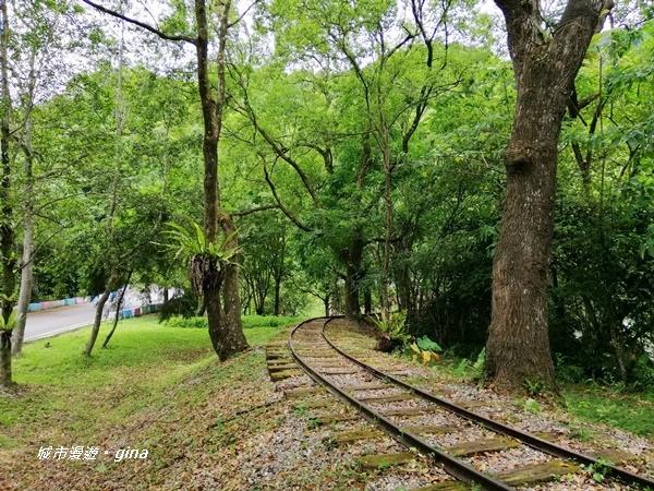 IMG_20200626_124139.jpg IMG_20200626_124139.jpg