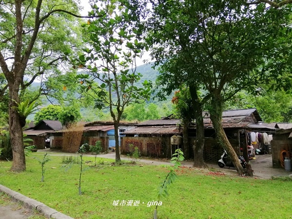 IMG_20200626_124104.jpg IMG_20200626_124104.jpg